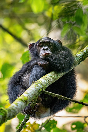 UGA_1222_22419