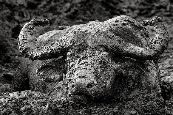 UGA_1222_18851_BW