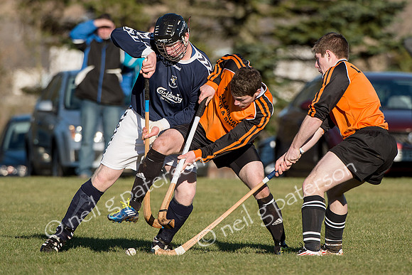 SKL_0213_0391