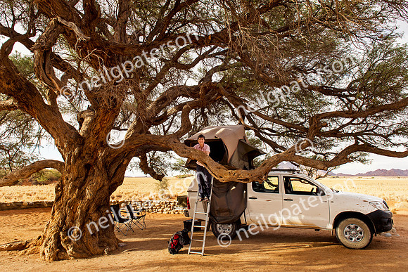 NAM_1213_0066_OK