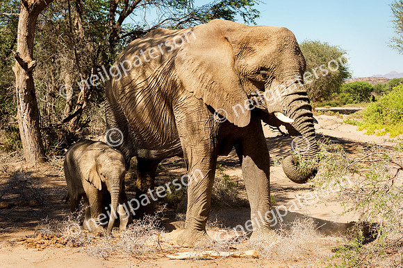 NAM_1213_1616_OK