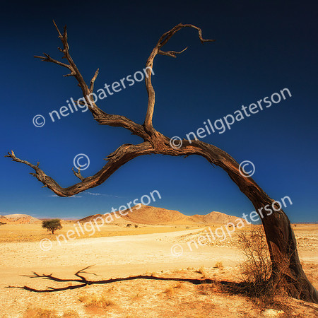 NAM_1213_0468_OK