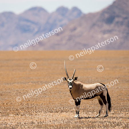 NAM_1213_0600_OK