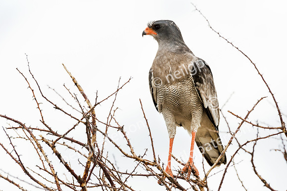 NAM_1213_2741_OK