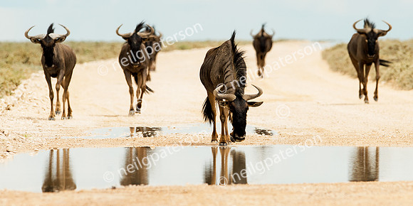 NAM_1213_2611_OK