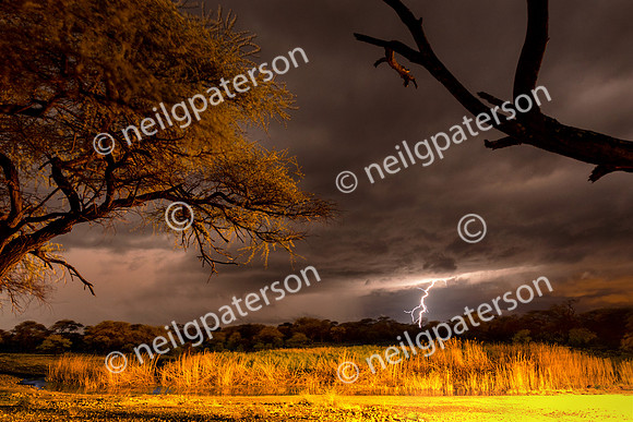NAM_1213_3062_OK