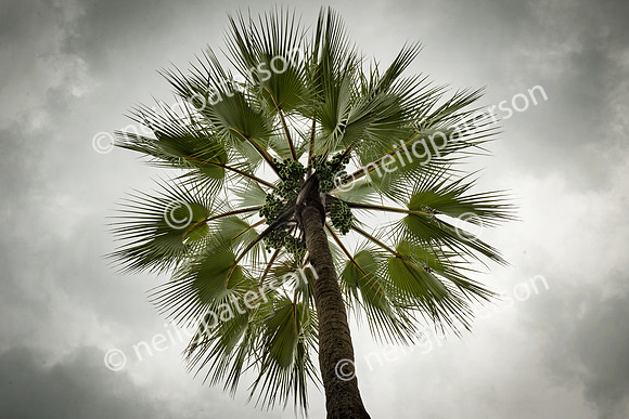 NAM_1213_3776