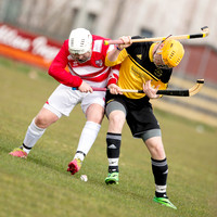 Fort William v Lochaber (North Div. 2) - 29th March 2014