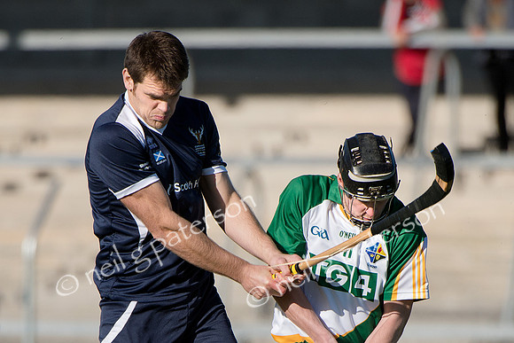 IRS_1012_0008